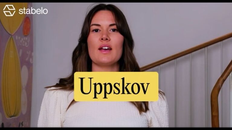 Så här betalar du in uppskov till Skatteverket: En komplett guide