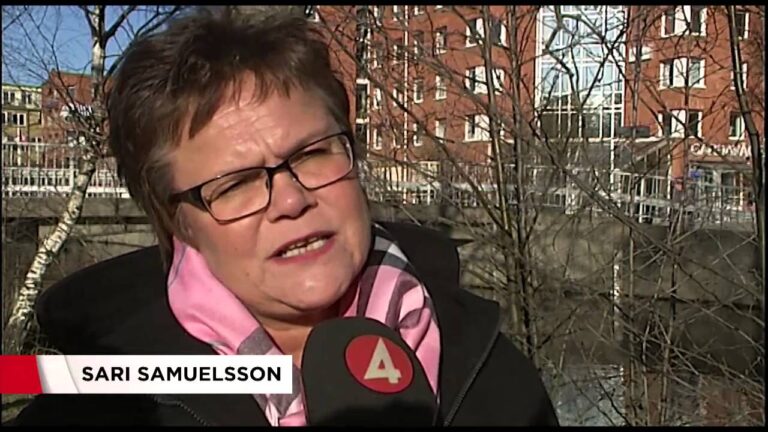 F&ouml;rs&auml;kringskassan och Skatteverket: Senaste Nyheterna fr&aring;n SVT