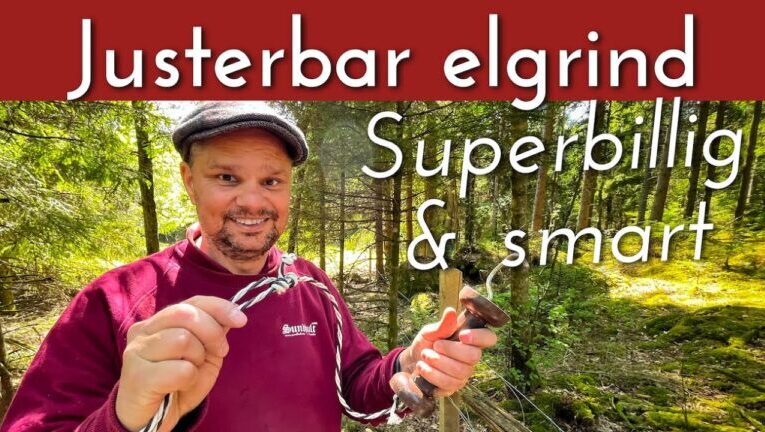 Så Gräver Du För El Skatteverket: En Komplett Guide