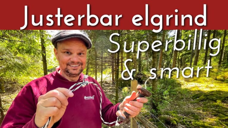 S&aring; Gr&auml;ver Du F&ouml;r El Skatteverket: En Komplett Guide