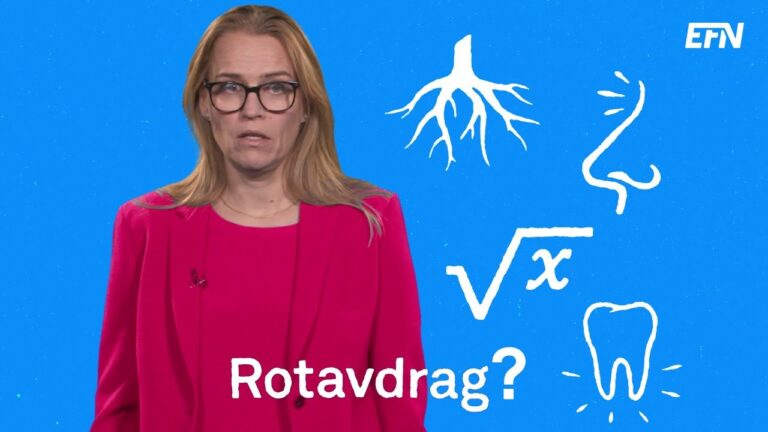 Den Ultimata Guiden till ROT-avdrag f&ouml;r F&ouml;retag – Skatteverket