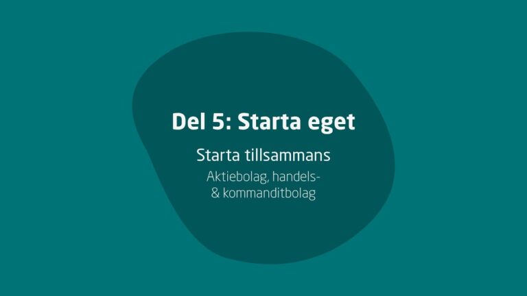 Handelsbolag och Skatteverket: R&auml;ttslig V&auml;gledning f&ouml;r F&ouml;retagare